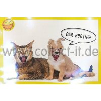 Panini Mission Tierfreunde Sticker 109
