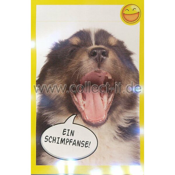 Panini Mission Tierfreunde Sticker 112