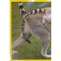 Panini Mission Tierfreunde Sticker 170