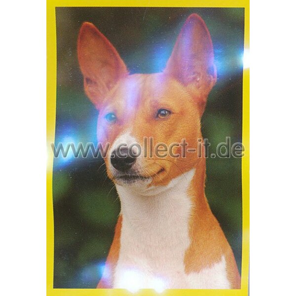 Panini Mission Tierfreunde Sticker 285