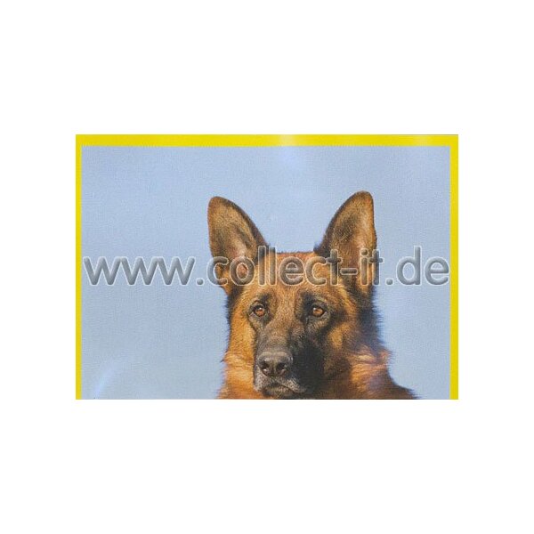 Panini Mission Tierfreunde Sticker 286