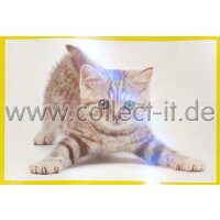 Panini Mission Tierfreunde Sticker 303