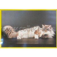 Panini Mission Tierfreunde Sticker 308