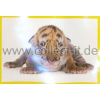 Panini Mission Tierfreunde Sticker 321