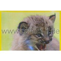 Panini Mission Tierfreunde Sticker 322