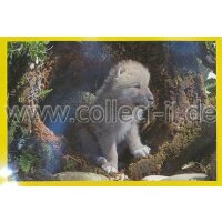 Panini Mission Tierfreunde Sticker 326