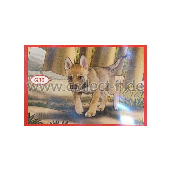 Panini Mission Tierfreunde Sondersticker G030