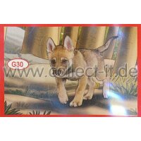 Panini Mission Tierfreunde Sondersticker G030