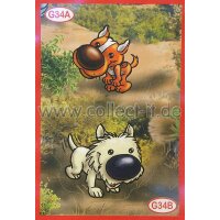 Panini Mission Tierfreunde Sondersticker G034