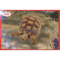 Panini Mission Tierfreunde Sondersticker G035