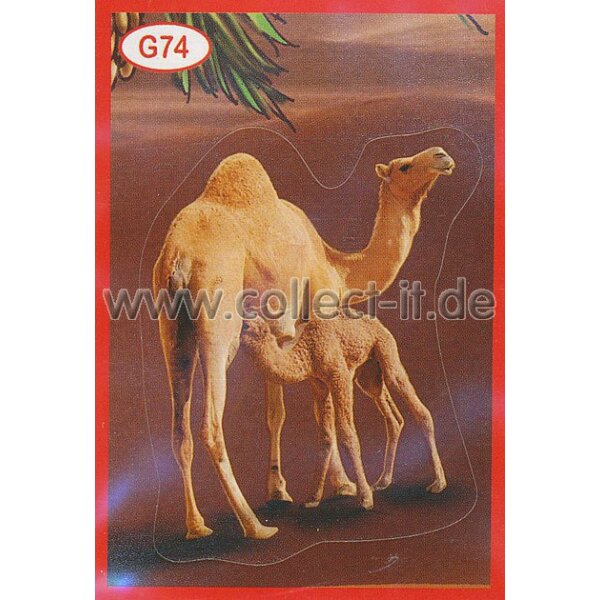 Panini Mission Tierfreunde Sondersticker G074