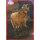 Panini Mission Tierfreunde Sondersticker G114