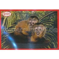 Panini Mission Tierfreunde Sondersticker G131