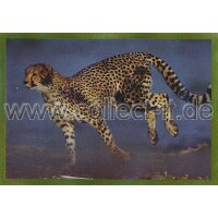NG-004 - Sticker 004 - Panini National Geographic - Die...