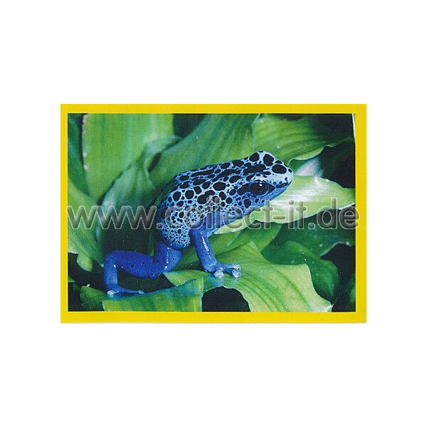 NG-012 - Sticker 012 - Panini National Geographic - Die Welt in Farbe