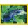 NG-012 - Sticker 012 - Panini National Geographic - Die Welt in Farbe