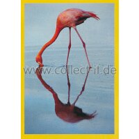 NG-032 - Sticker 032 - Panini National Geographic - Die...