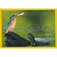 NG-035 - Sticker 035 - Panini National Geographic - Die...