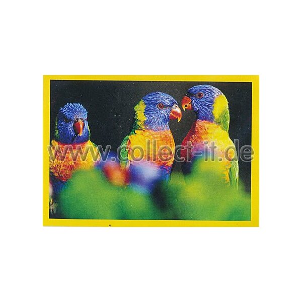 NG-036 - Sticker 036 - Panini National Geographic - Die Welt in Farbe