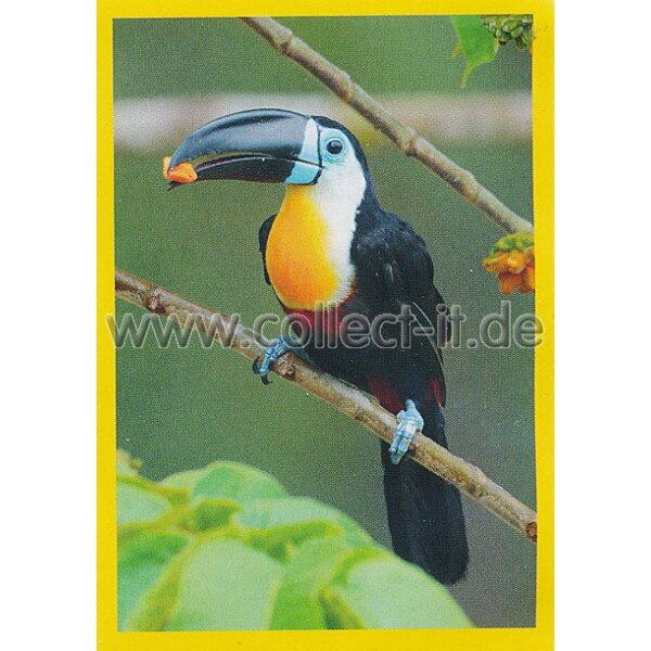 NG-037 - Sticker 037 - Panini National Geographic - Die Welt in Farbe
