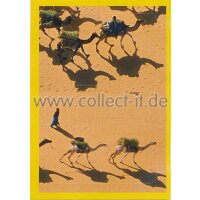 NG-058 - Sticker 058 - Panini National Geographic - Die...