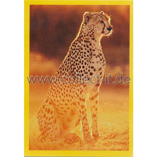 NG-074 - Sticker 074 - Panini National Geographic - Die Welt in Farbe