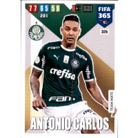 325 - Antonio Carlos - Basis Karte - 2020