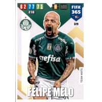329 - Felipe Melo  - Basis Karte - 2020