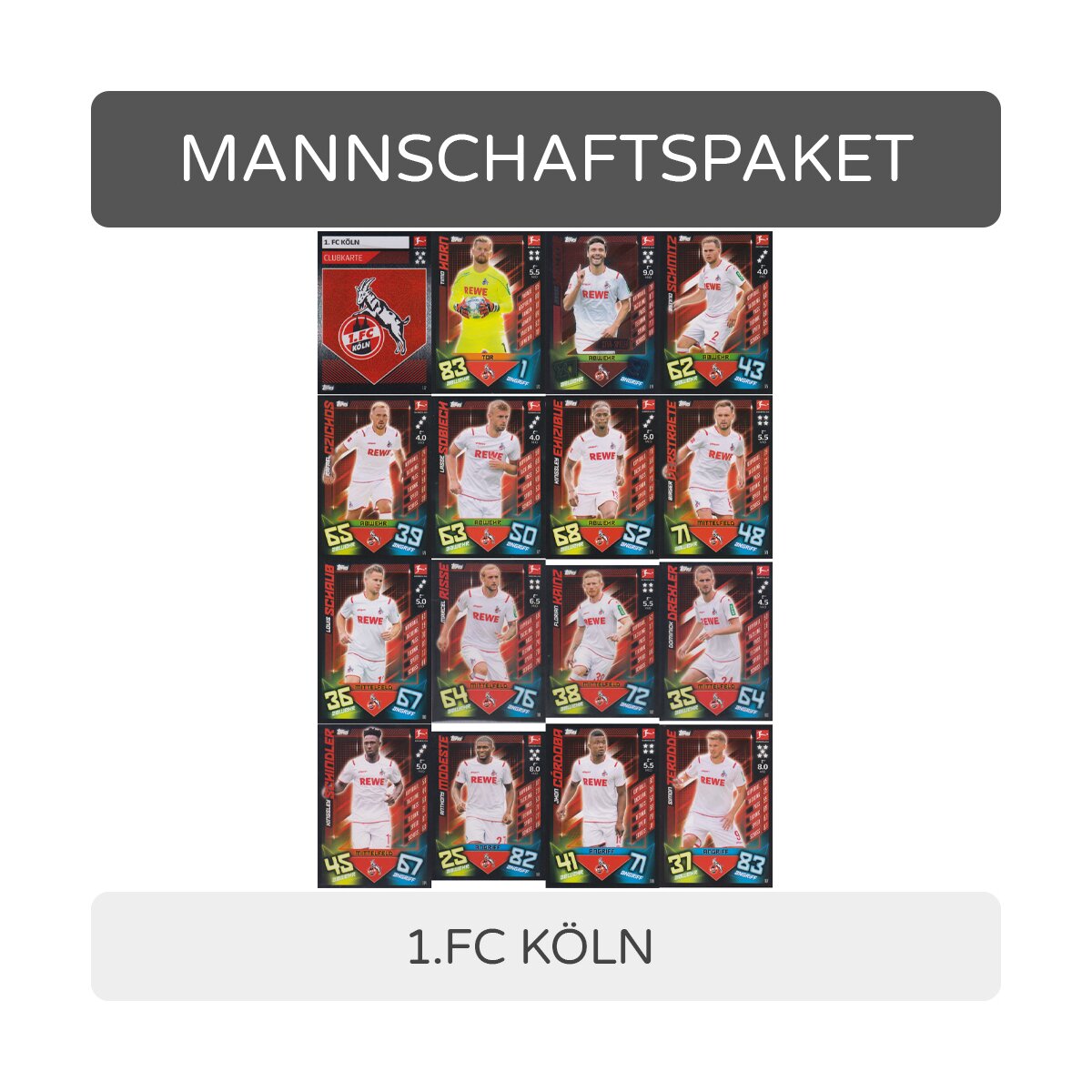 FC Köln Basiskarten Starspieler Clubkarte 16 Karten Set Match Attax 2019/20 1