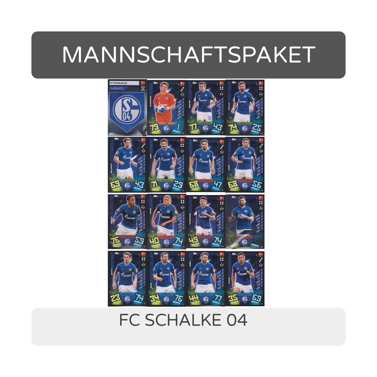 FC Köln Basiskarten Starspieler Clubkarte 16 Karten Set Match Attax 2019/20 1
