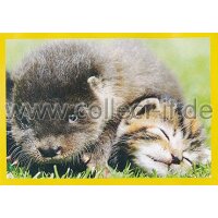 NG-103 - Sticker 103 - Panini National Geographic - Die...