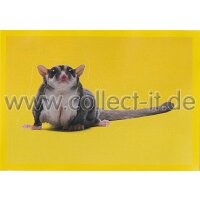 NG-122 - Sticker 122 - Panini National Geographic - Die...