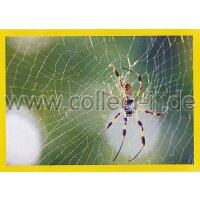 NG-128 - Sticker 128 - Panini National Geographic - Die...
