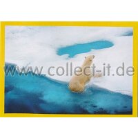 NG-132 - Sticker 132 - Panini National Geographic - Die...