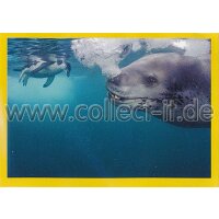 NG-133 - Sticker 133 - Panini National Geographic - Die...