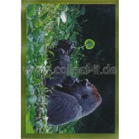 NG-138 - Sticker 138 - Panini National Geographic - Die...