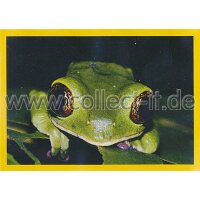 NG-143 - Sticker 143 - Panini National Geographic - Die...