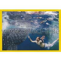 NG-146 - Sticker 146 - Panini National Geographic - Die...