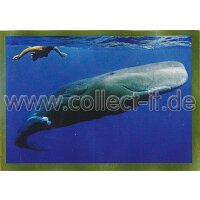 NG-148 - Sticker 148 - Panini National Geographic - Die...