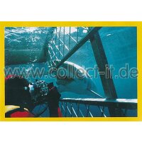 NG-149 - Sticker 149 - Panini National Geographic - Die...