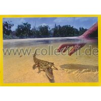 NG-152 - Sticker 152 - Panini National Geographic - Die...