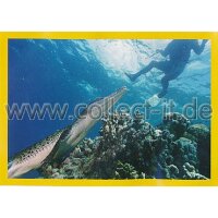 NG-153 - Sticker 153 - Panini National Geographic - Die...