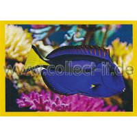 NG-155 - Sticker 155 - Panini National Geographic - Die...