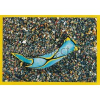 NG-158 - Sticker 158 - Panini National Geographic - Die...