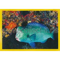 NG-160 - Sticker 160 - Panini National Geographic - Die...