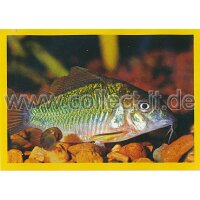 NG-163 - Sticker 163 - Panini National Geographic - Die...