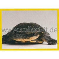 NG-164 - Sticker 164 - Panini National Geographic - Die...