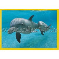 NG-166 - Sticker 166 - Panini National Geographic - Die...