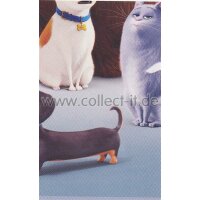 Sticker 5 - Pets Movie - Panini