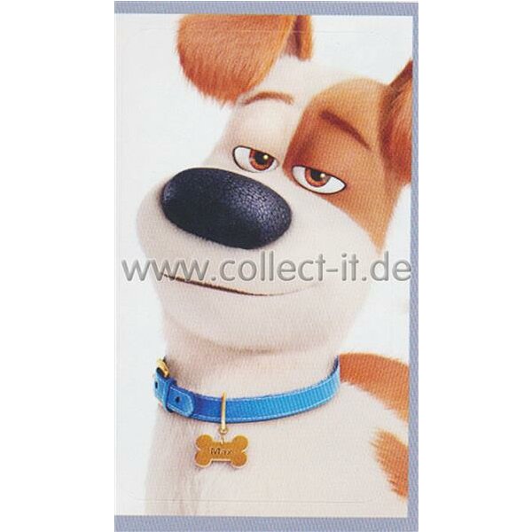 Sticker 7 - Pets Movie - Panini